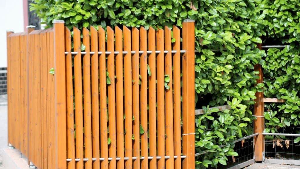 Privacy Fences